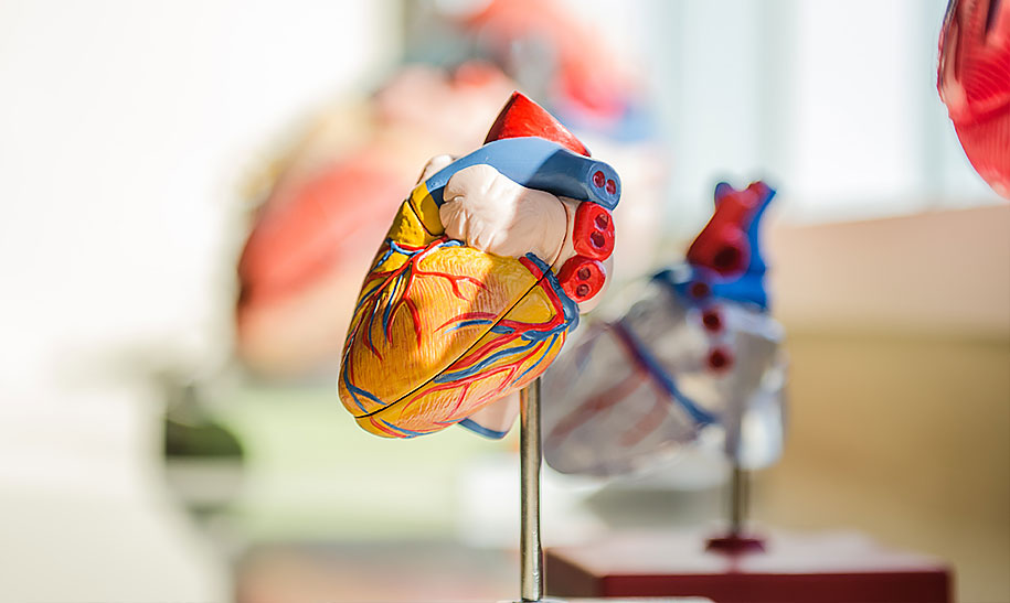COVID-19 Brings Attention to Cardiometabolic Health